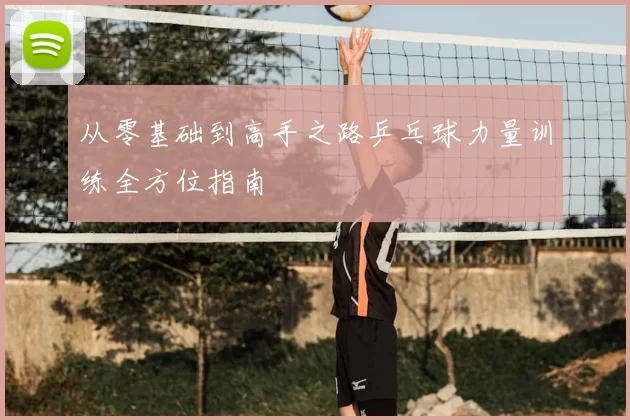 从零基础到高手之路乒乓球力量训练全方位指南
