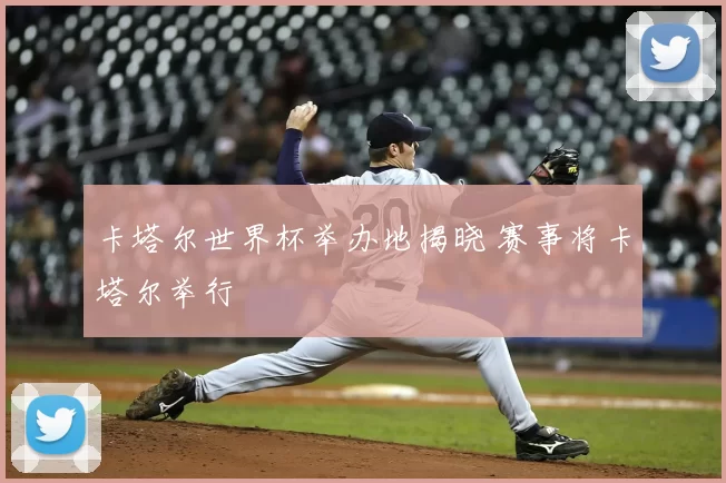 卡塔尔世界杯举办地揭晓 赛事将卡塔尔举行