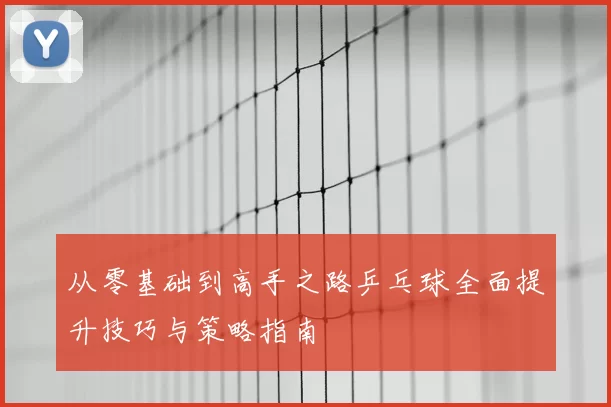 从零基础到高手之路乒乓球全面提升技巧与策略指南