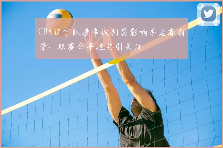 CBA辽宁队遭争议判罚影响季后赛前景，联赛公平性再引关注