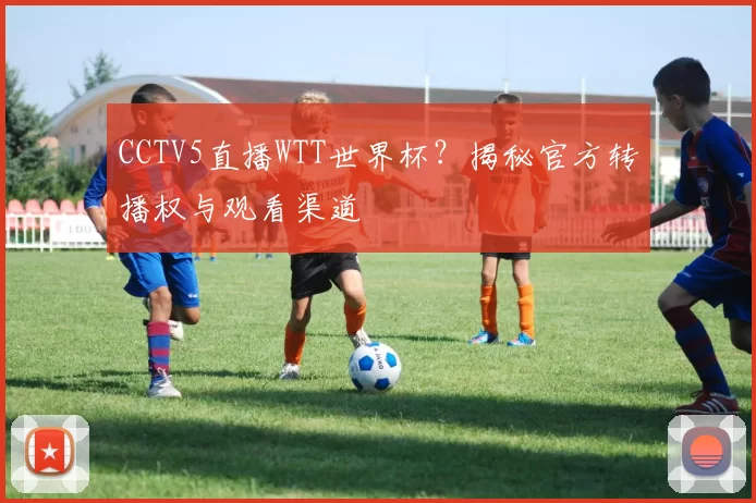 CCTV5直播WTT世界杯？揭秘官方转播权与观看渠道