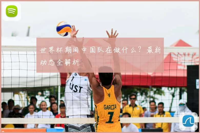 世界杯期间中国队在做什么?最新动态全解析