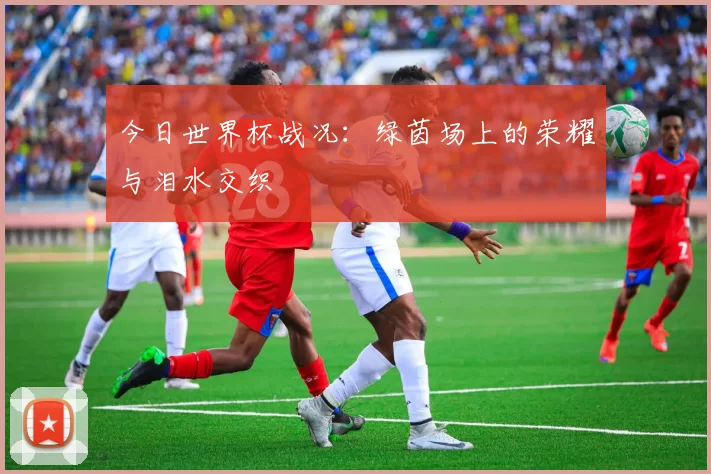 今日世界杯战况：绿茵场上的荣耀与泪水交织