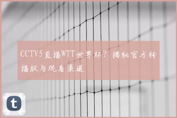 CCTV5直播WTT世界杯?揭秘官方转播权与观看渠道