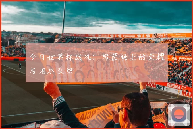 今日世界杯战况：绿茵场上的荣耀与泪水交织