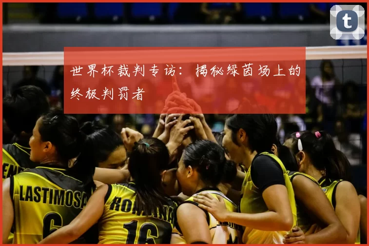 世界杯裁判专访:揭秘绿茵场上的终极判罚者