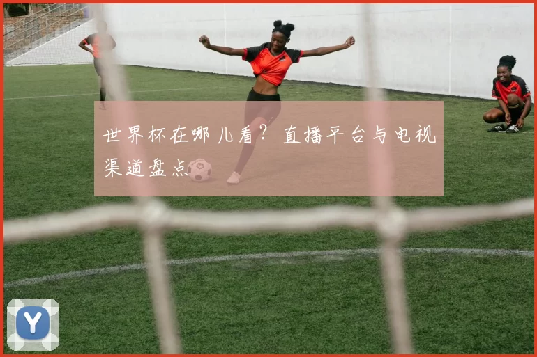 世界杯在哪儿看？直播平台与电视渠道盘点