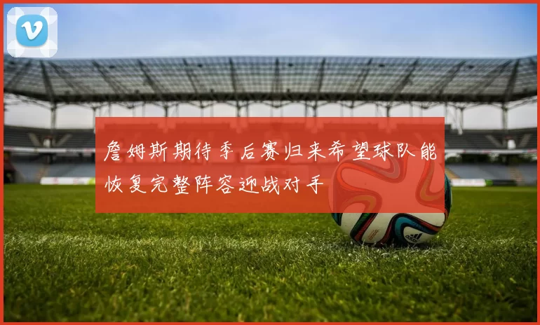 詹姆斯期待季后赛归来希望球队能恢复完整阵容迎战对手